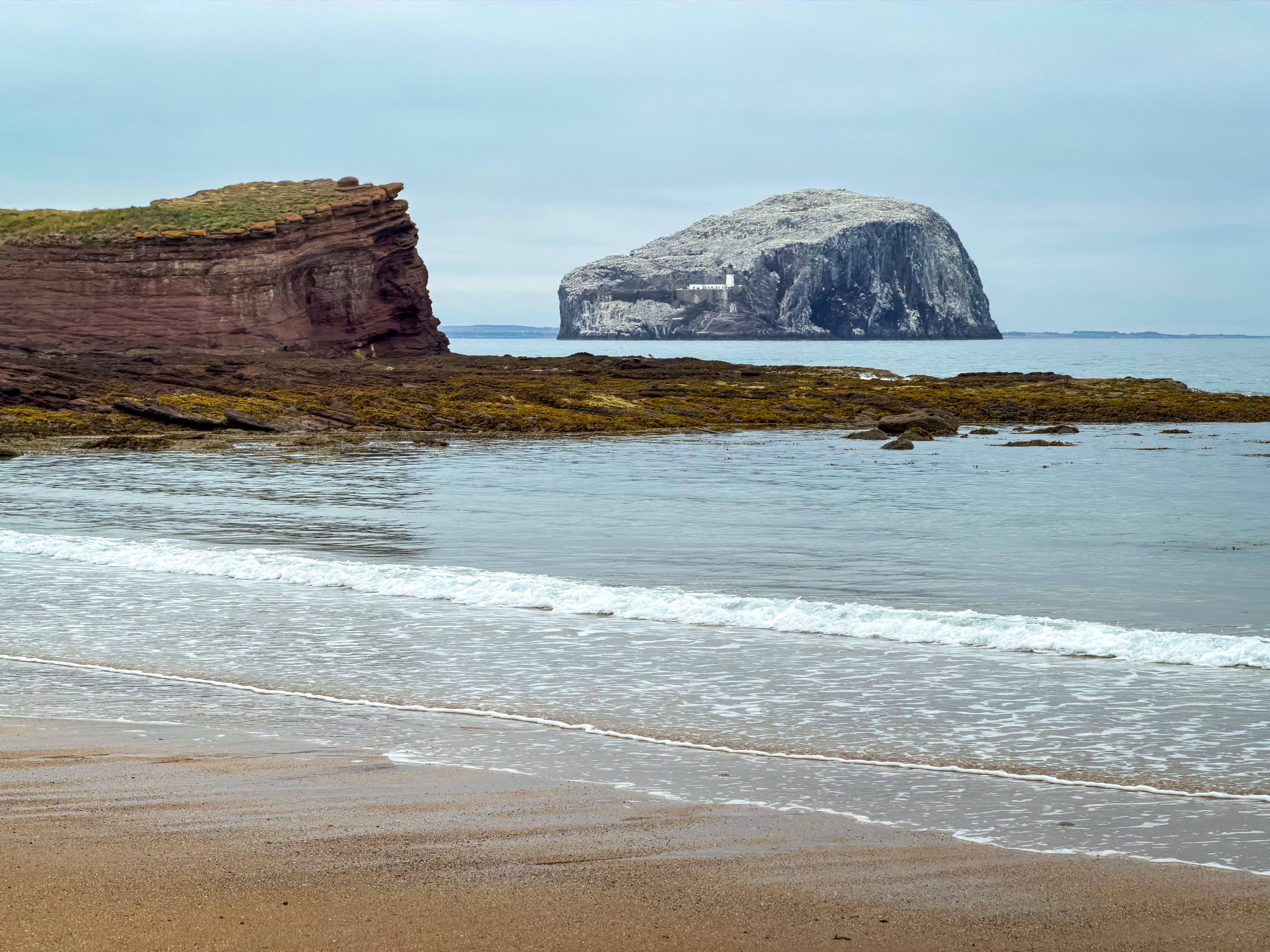 Bass Rock and the red sandstone shore at Seacliff.