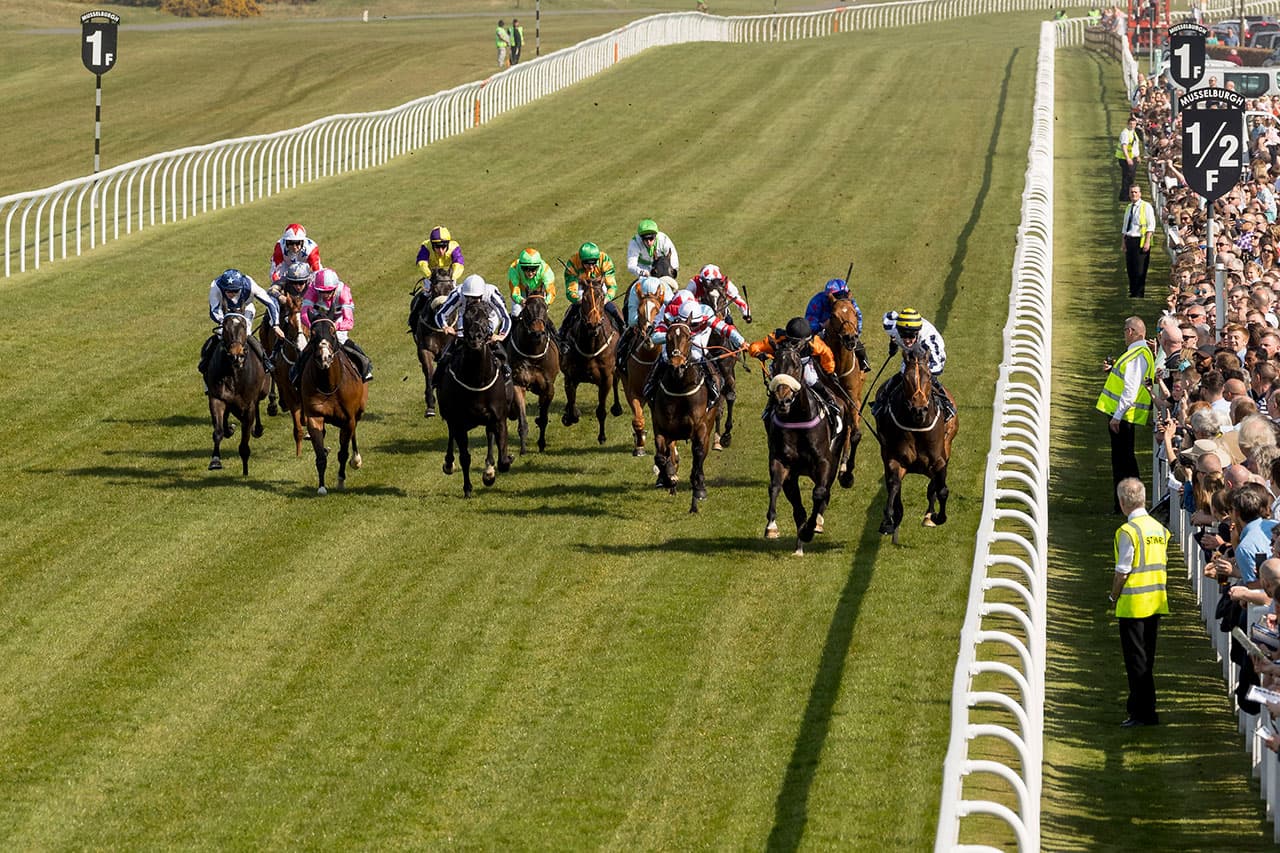 The Afternoon Flat Raceday, Musselburgh Racecourse