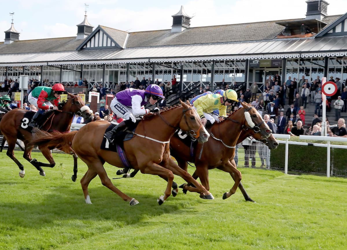 Friday at the Races, Musselburgh Racecourse