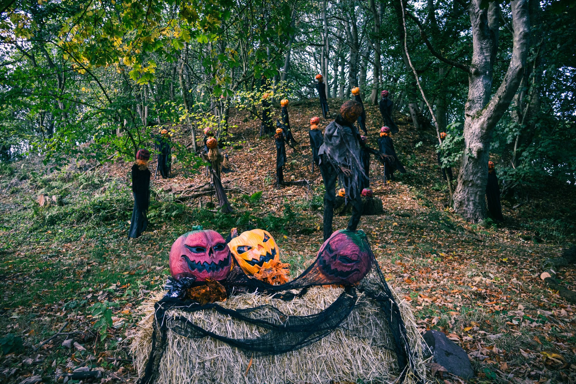 Halloween figures among the trees on the Haunted Trail at Balgone Estate
