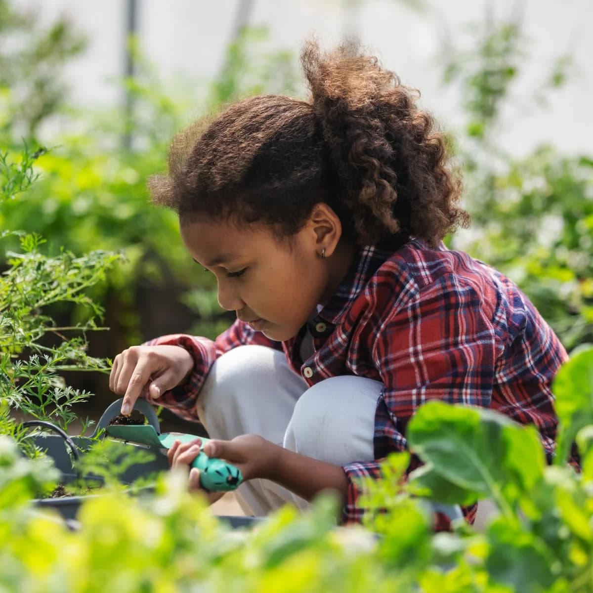 Junior Gardeners, Archerfield Walled Garden, Dirleton