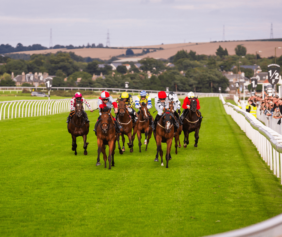 The Evening Flat Race Night, Musselburgh Racecourse