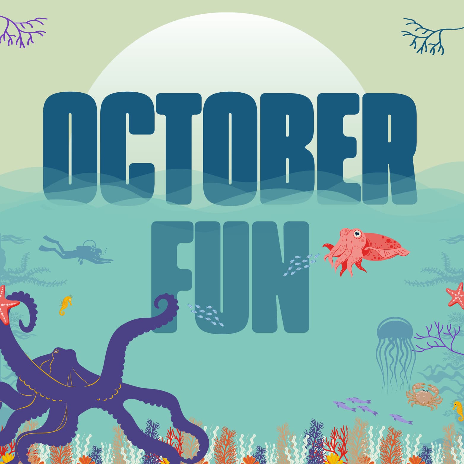 Dive in To Our Holiday Events, Scottish Seabird Centre