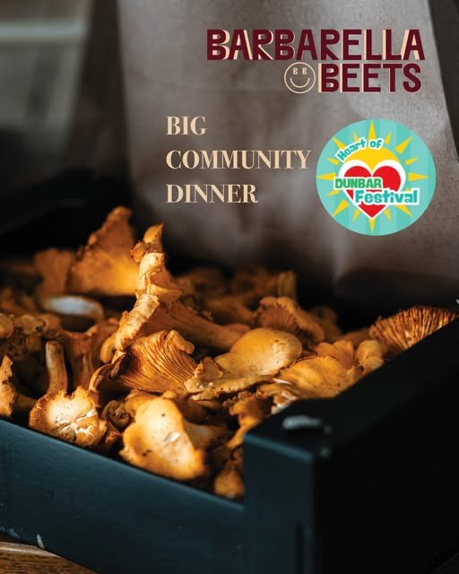 Big Community Dinner @ Lauderdale, Wishing Tree by the Sea, Dunbar